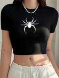 Spinne