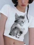 Katze